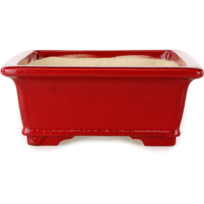 Vaso bonsai rettangolare rosso di Eime Yozan - 312 x 245 x 95 mm