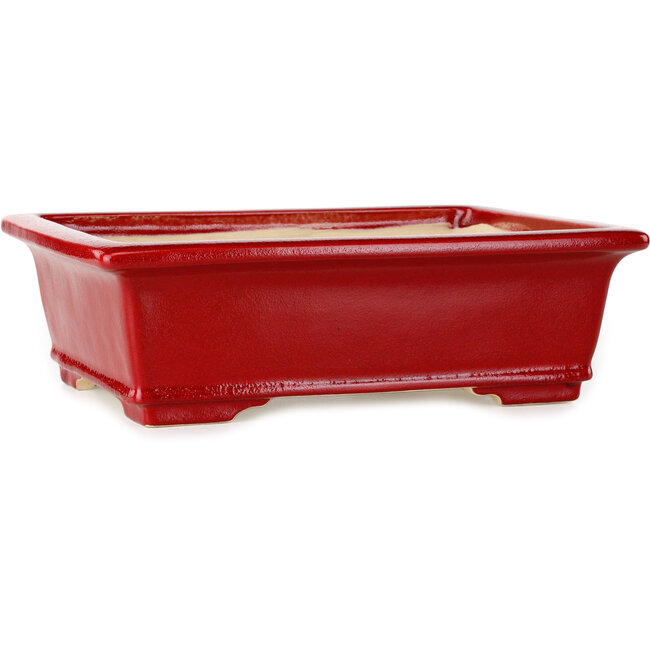Maceta rectangular roja para bonsái de Eime Yozan - 312 x 245 x 95 mm