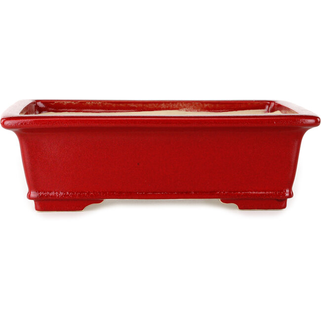 Maceta rectangular roja para bonsái de Eime Yozan - 312 x 245 x 95 mm