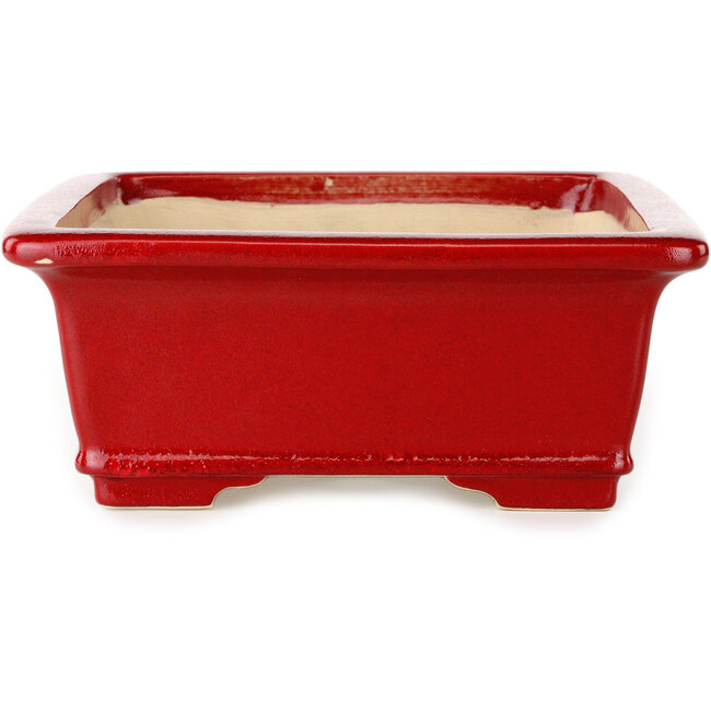 Maceta rectangular roja para bonsái de Eime Yozan - 312 x 245 x 95 mm