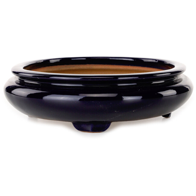Oval dark blue bonsai pot by Reiho - 293 x 235 x 63 mm