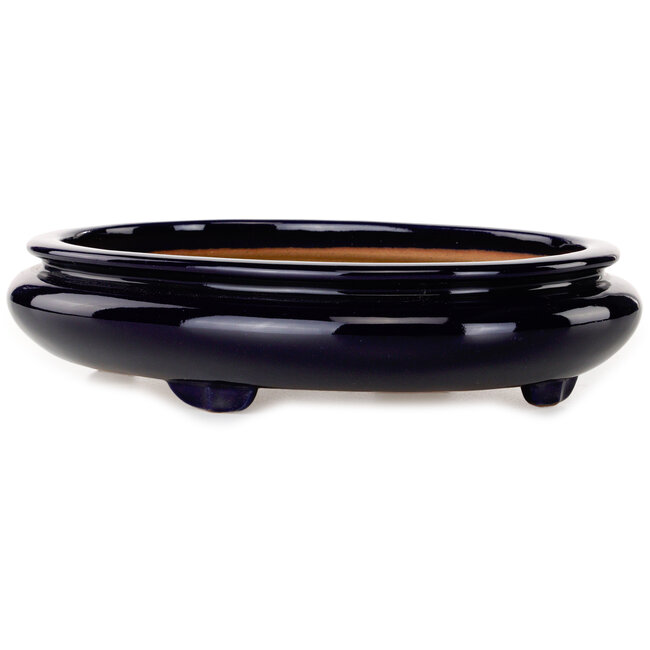Ovale donkerblauwe bonsaipot van Reiho - 293 x 235 x 63 mm
