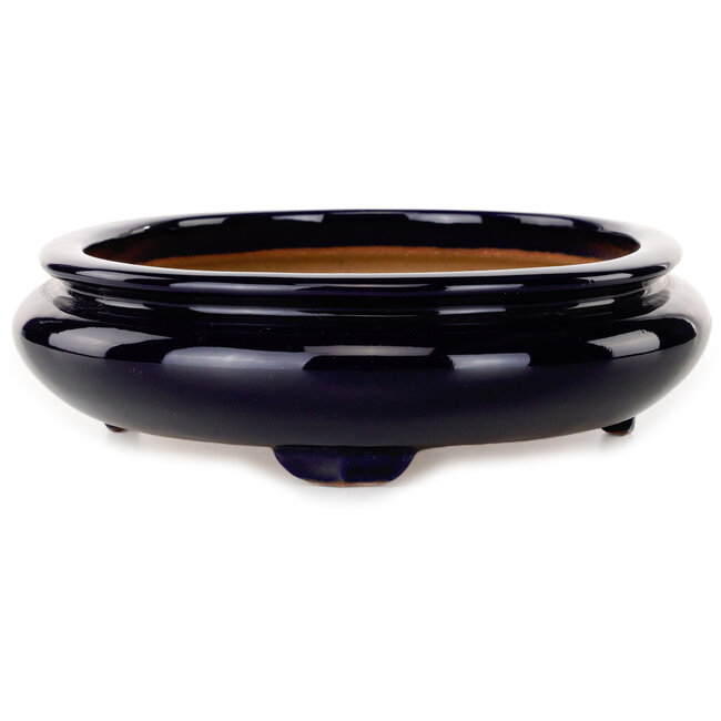 Oval dark blue bonsai pot by Reiho - 293 x 235 x 63 mm