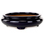 Maceta ovalada para bonsái azul oscuro de Reiho - 293 x 235 x 63 mm