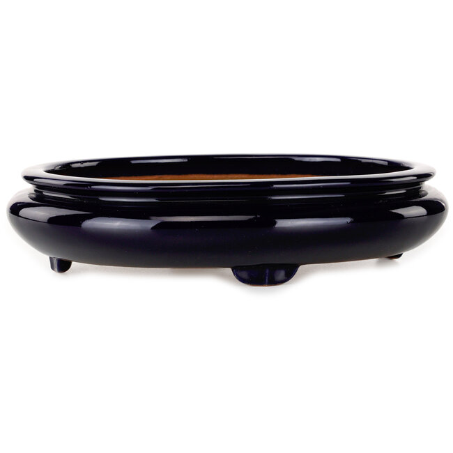 Ovale donkerblauwe bonsaipot van Reiho - 293 x 235 x 63 mm