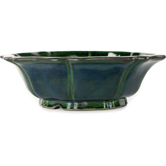 Vaso bonsai verde loto di Terahata Satomi Mazan - 347 x 347 x 110 mm