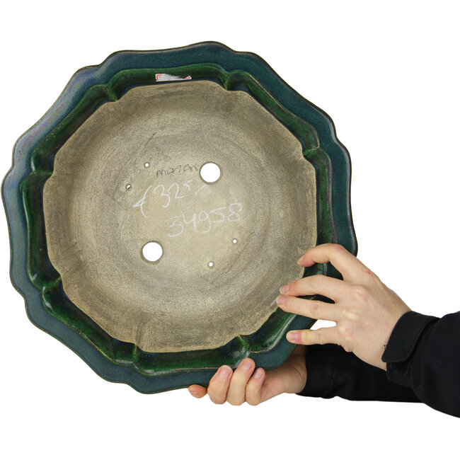 Vaso bonsai verde loto di Terahata Satomi Mazan - 347 x 347 x 110 mm