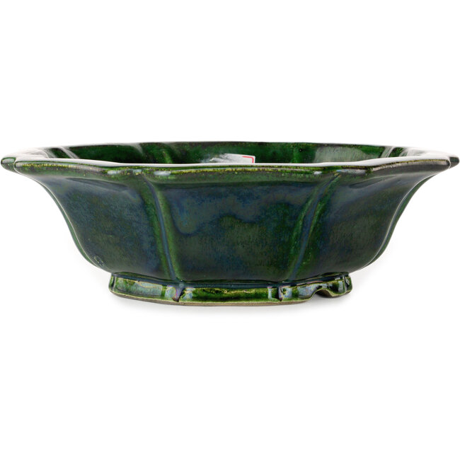 Vaso bonsai verde loto di Terahata Satomi Mazan - 305 x 305 x 95 mm