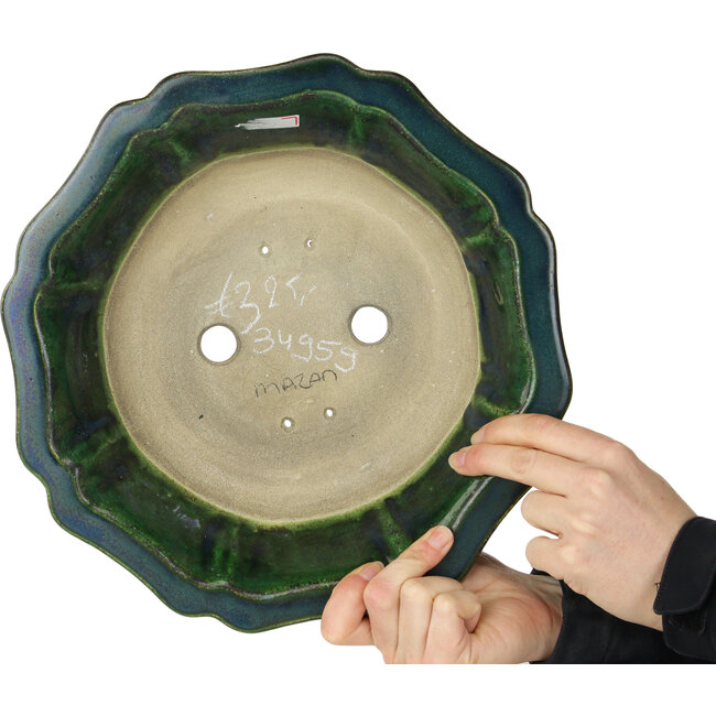 Vaso bonsai verde loto di Terahata Satomi Mazan - 305 x 305 x 95 mm