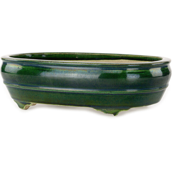 Maceta ovalada para bonsái verde de Terahata Satomi Mazan - 290 x 213 x 85 mm
