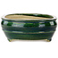 Vaso bonsai ovale verde di Terahata Satomi Mazan - 290 x 213 x 85 mm