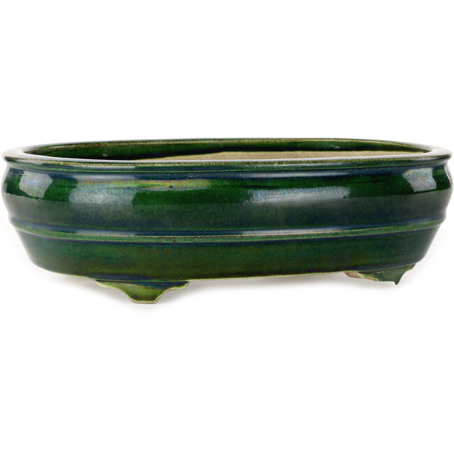 Vaso bonsai ovale verde di Terahata Satomi Mazan - 290 x 213 x 85 mm