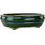Ovale groene bonsaipot van Terahata Satomi Mazan - 290 x 213 x 85 mm