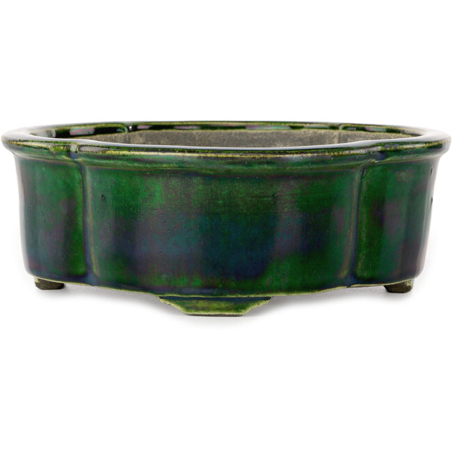 Vaso bonsai Mokko verde di Terahata Satomi Mazan - 250 x 220 x 77 mm