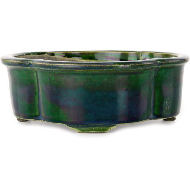 Mokko groene bonsaipot van Terahata Satomi Mazan - 250 x 220 x 77 mm