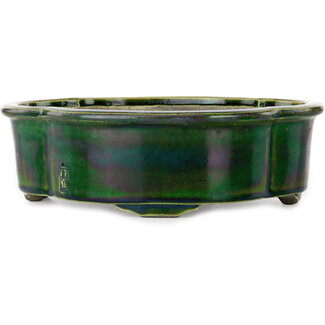  Satomi Mazan, Mazan Terahata 250 mm mokko groene bonsaipot van Terahata Satomi Mazan, Tokoname, Japan