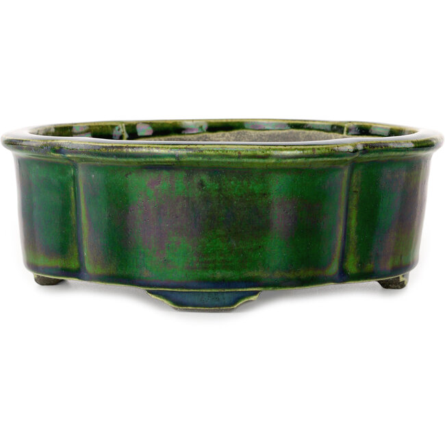 Mokko groene bonsaipot van Terahata Satomi Mazan - 250 x 220 x 77 mm