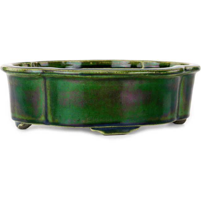 Maceta para bonsái verde Mokko de Terahata Satomi Mazan - 250 x 220 x 77 mm