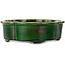 Maceta para bonsái verde Mokko de Terahata Satomi Mazan - 250 x 220 x 77 mm