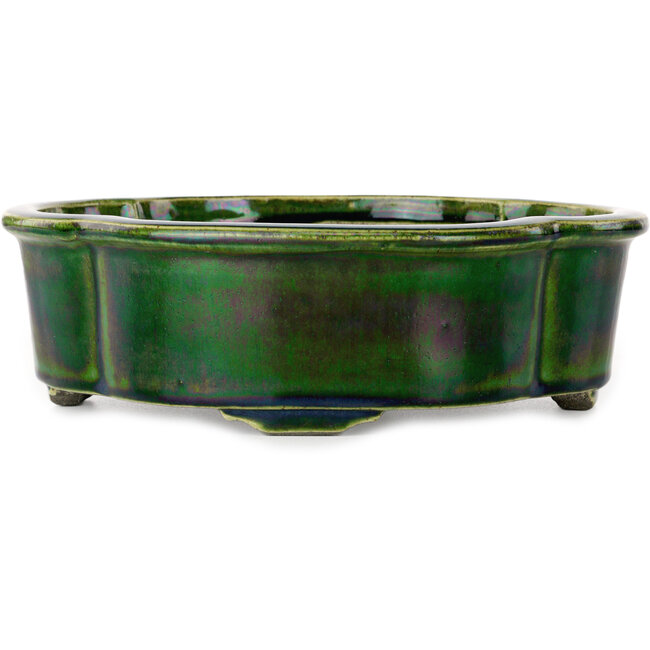 Mokko groene bonsaipot van Terahata Satomi Mazan - 250 x 220 x 77 mm