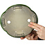 Maceta para bonsái verde Mokko de Terahata Satomi Mazan - 250 x 220 x 77 mm