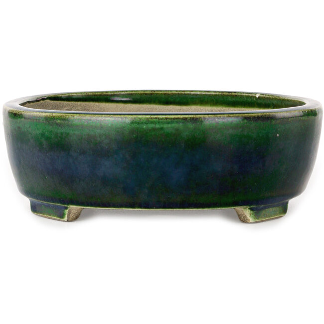 Maceta ovalada para bonsái verde de Terahata Satomi Mazan - 255 x 210 x 68 mm