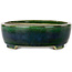 Maceta ovalada para bonsái verde de Terahata Satomi Mazan - 255 x 210 x 68 mm
