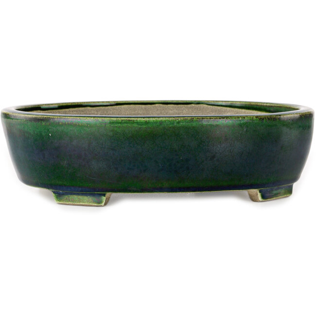 Vaso bonsai ovale verde di Terahata Satomi Mazan - 255 x 210 x 68 mm