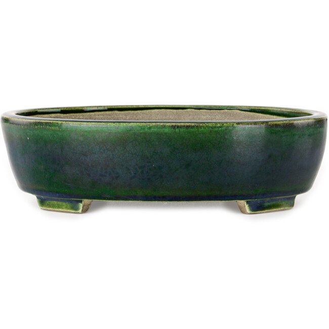 Vaso bonsai ovale verde di Terahata Satomi Mazan - 255 x 210 x 68 mm
