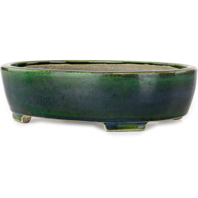 Maceta ovalada para bonsái verde de Terahata Satomi Mazan - 255 x 210 x 68 mm