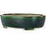 Ovale groene bonsaipot van Terahata Satomi Mazan - 255 x 210 x 68 mm