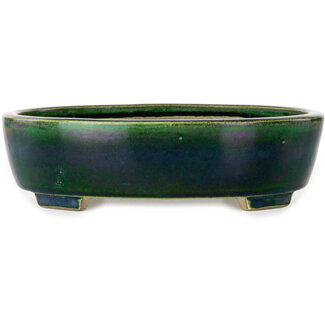  Satomi Mazan, Mazan Terahata 255 mm ovale grüne Bonsaischale von Terahata Satomi Mazan, Tokoname, Japan
