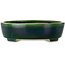 Vaso bonsai ovale verde di Terahata Satomi Mazan - 255 x 210 x 68 mm