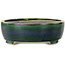 Ovale groene bonsaipot van Terahata Satomi Mazan - 255 x 210 x 68 mm