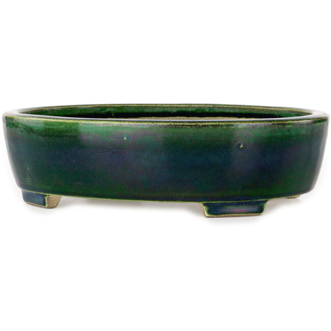 Ovaler grüner Bonsaitopf von Terahata Satomi Mazan – 255 x 210 x 68 mm