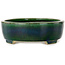 Ovale groene bonsaipot van Terahata Satomi Mazan - 255 x 210 x 68 mm