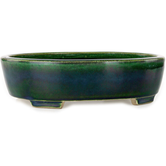Ovale groene bonsaipot van Terahata Satomi Mazan - 255 x 210 x 68 mm