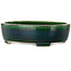 Ovale groene bonsaipot van Terahata Satomi Mazan - 255 x 210 x 68 mm