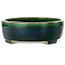 Ovale groene bonsaipot van Terahata Satomi Mazan - 255 x 210 x 68 mm