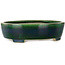 Pot à bonsaï ovale vert par Terahata Satomi Mazan - 255 x 210 x 68 mm