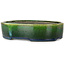 Maceta ovalada para bonsái verde de Terahata Satomi Mazan - 220 x 175 x 53 mm