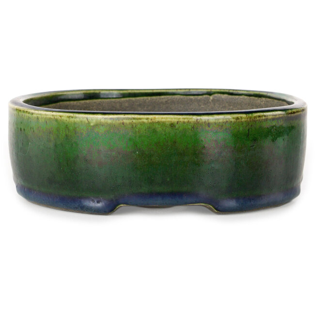 Vaso bonsai ovale verde di Terahata Satomi Mazan - 220 x 175 x 53 mm