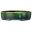 Vaso bonsai ovale verde di Terahata Satomi Mazan - 220 x 175 x 53 mm