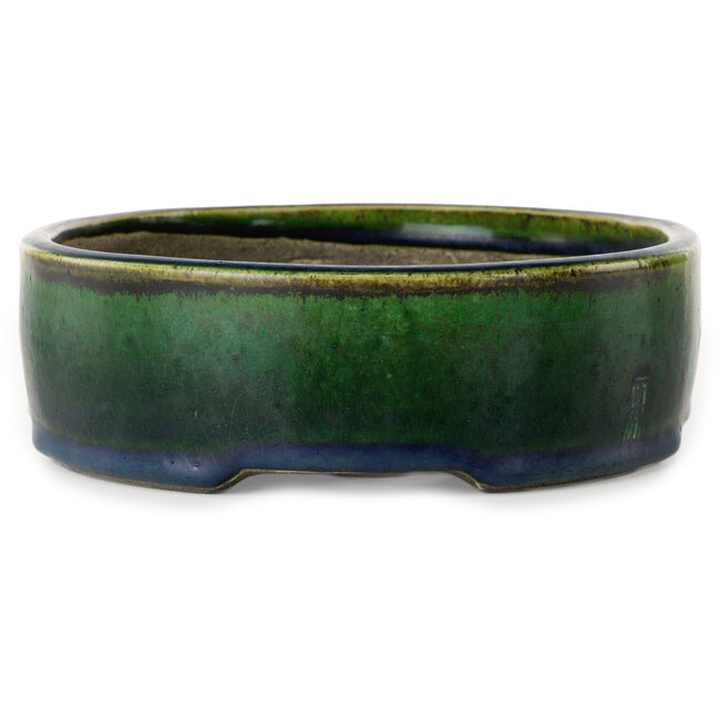 Maceta ovalada para bonsái verde de Terahata Satomi Mazan - 220 x 175 x 53 mm