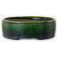 Pot à bonsaï ovale vert par Terahata Satomi Mazan - 220 x 175 x 53 mm
