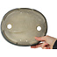 Maceta ovalada para bonsái verde de Terahata Satomi Mazan - 220 x 175 x 53 mm