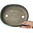 Maceta ovalada para bonsái verde de Terahata Satomi Mazan - 220 x 175 x 53 mm