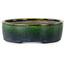 Pot à bonsaï ovale vert par Terahata Satomi Mazan - 220 x 175 x 53 mm