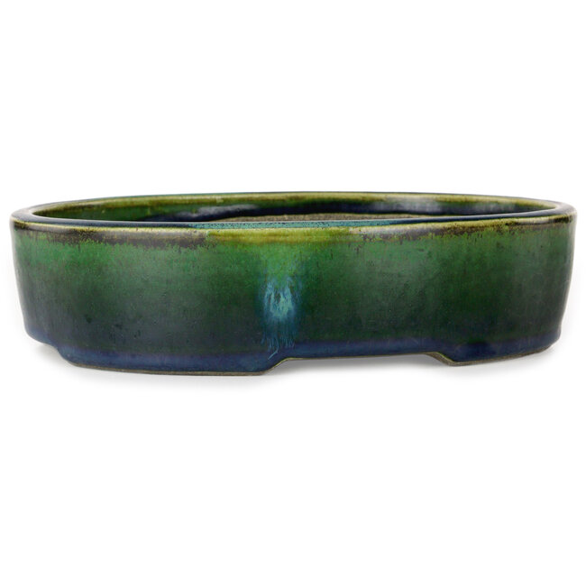 Maceta ovalada para bonsái verde de Terahata Satomi Mazan - 220 x 175 x 53 mm