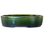 Ovaler grüner Bonsaitopf von Terahata Satomi Mazan – 220 x 175 x 53 mm